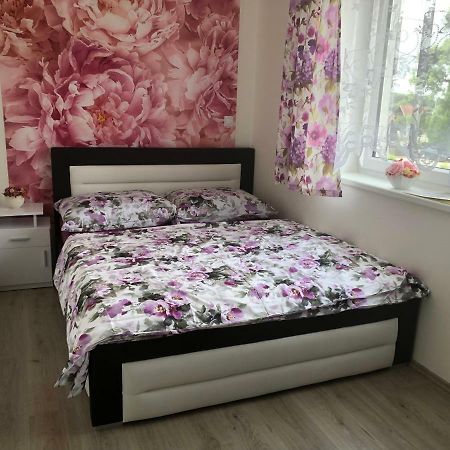 Apartman Na Lukach - Kopretina Třeboň Eksteriør billede